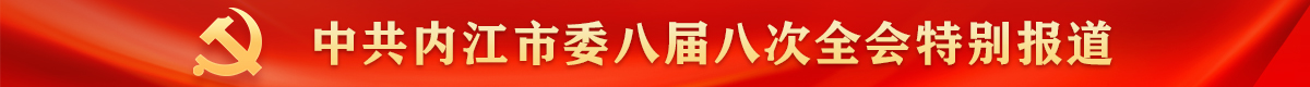 中共内江市委八届八次全会特别报道